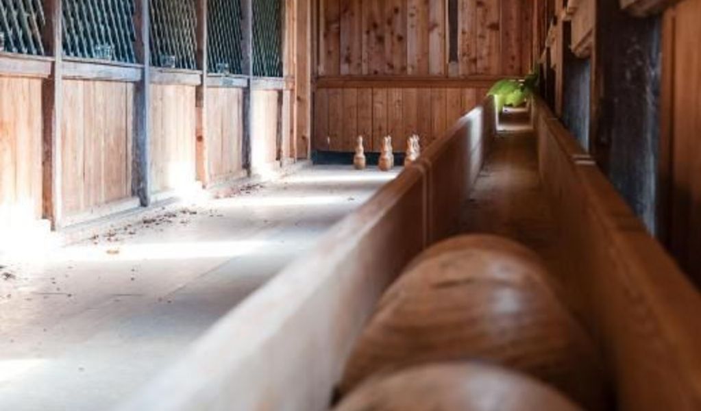 Villa Straussengut - Bad Aussee - Ausseerland-Salzkammergut