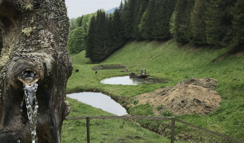 Bärnthaler Fischerhütte - Mühlen - Urlaubsregion Murau-Murtal