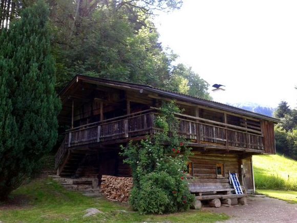 Rehbodenhütte - Aschau - Zillertal