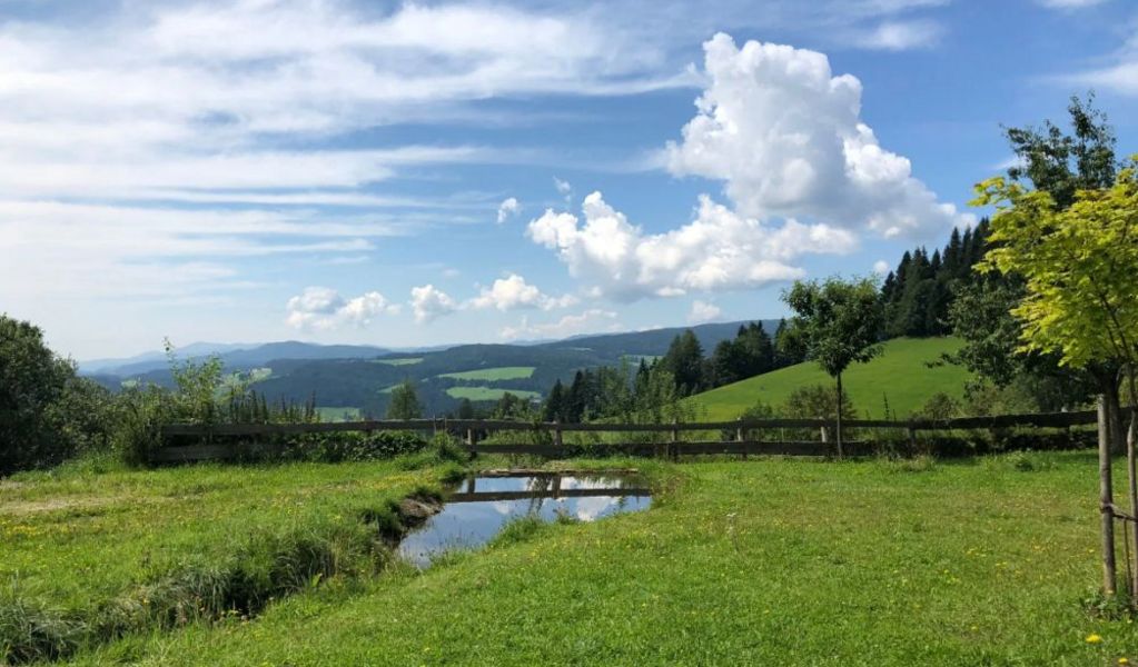 Die Waldheimatmühle - St. Kathrein/Hauenstein - Hochsteiermark