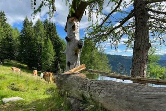 Adambauerhütte - Eisentratten - Lieser-Maltatal