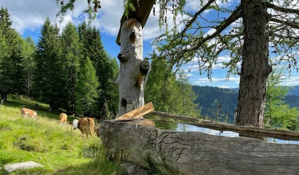 Adambauerhütte - Eisentratten - Lieser-Maltatal