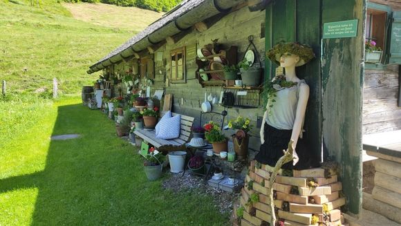 Lippenbauernhütte - Bad Ischl - Salzkammergut