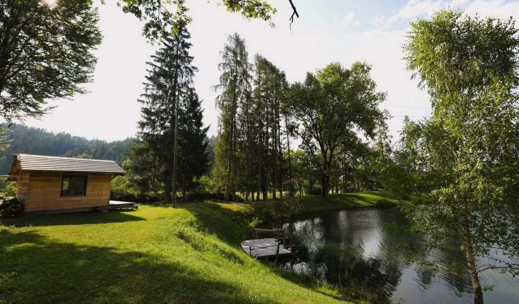 Haus am Fischteich - St. Michael ob Bleiburg - Carnica Region Rosental