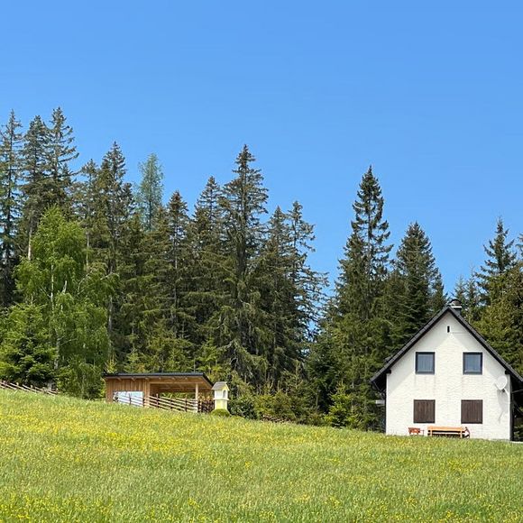 Waldheimatblick - St. Kathrein am Hauenstein - Oststeiermark