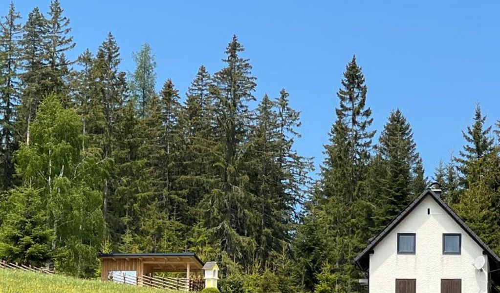 Waldheimatblick - St. Kathrein am Hauenstein - Oststeiermark