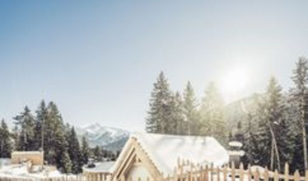 Hotel Almhof Roswitha - Hippach - Zillertal