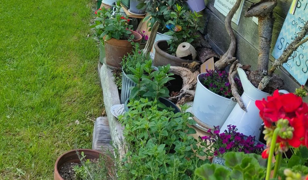 Lippenbauernhütte - Bad Ischl - Salzkammergut