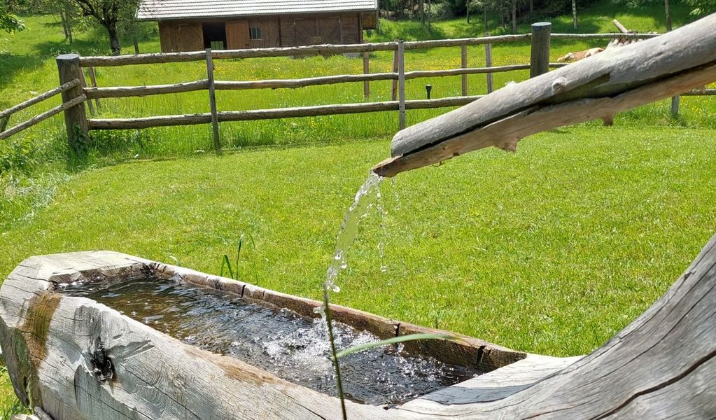Kraber Alm im Metnitztal - Grades - Mittelkärnten