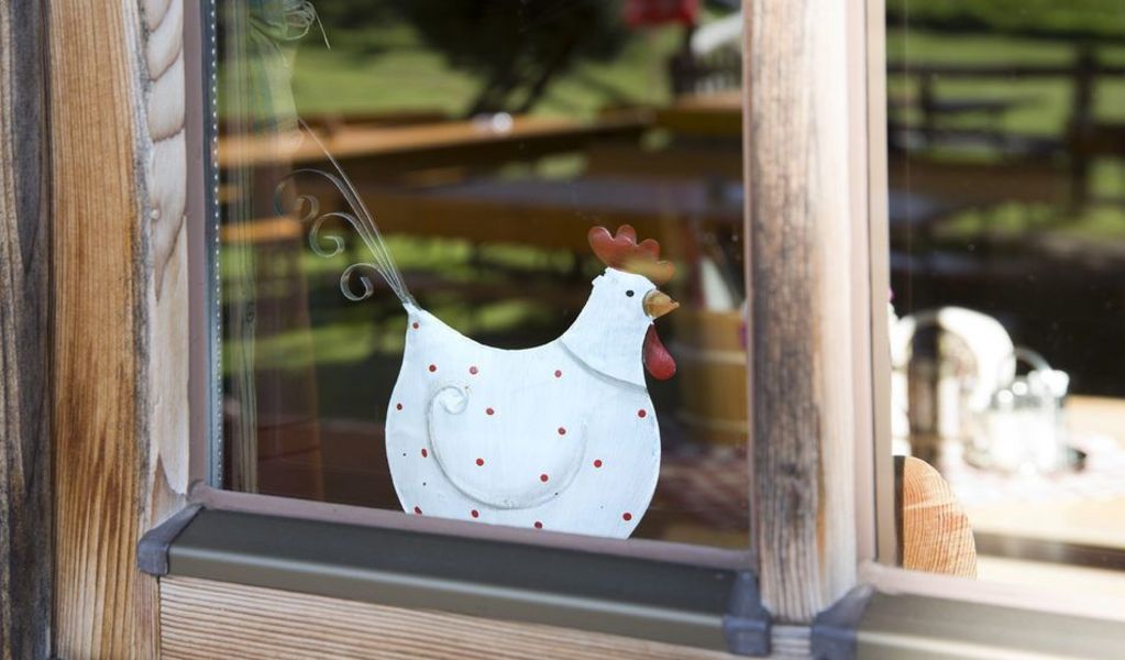 Schutzhütte Kranzhorn Alm - Erl - Kufsteinerland