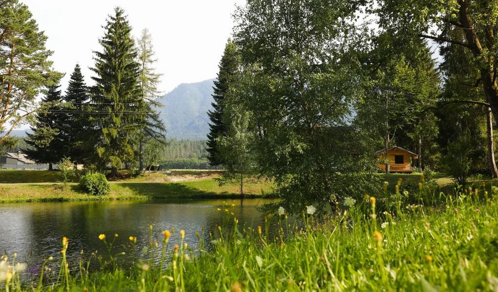 Haus am Fischteich - St. Michael ob Bleiburg - Carnica Region Rosental