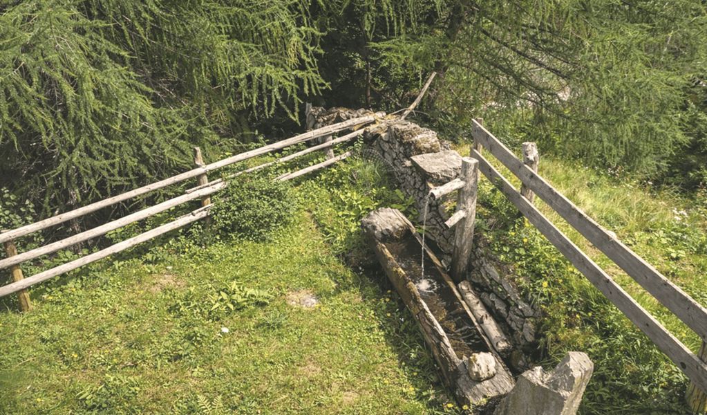 Almhütte Santnerhof - Virgen - Osttirol