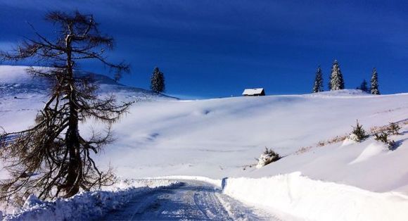 Hofbauer Alm - Breitenau am Hochlantsch - Hochsteiermark
