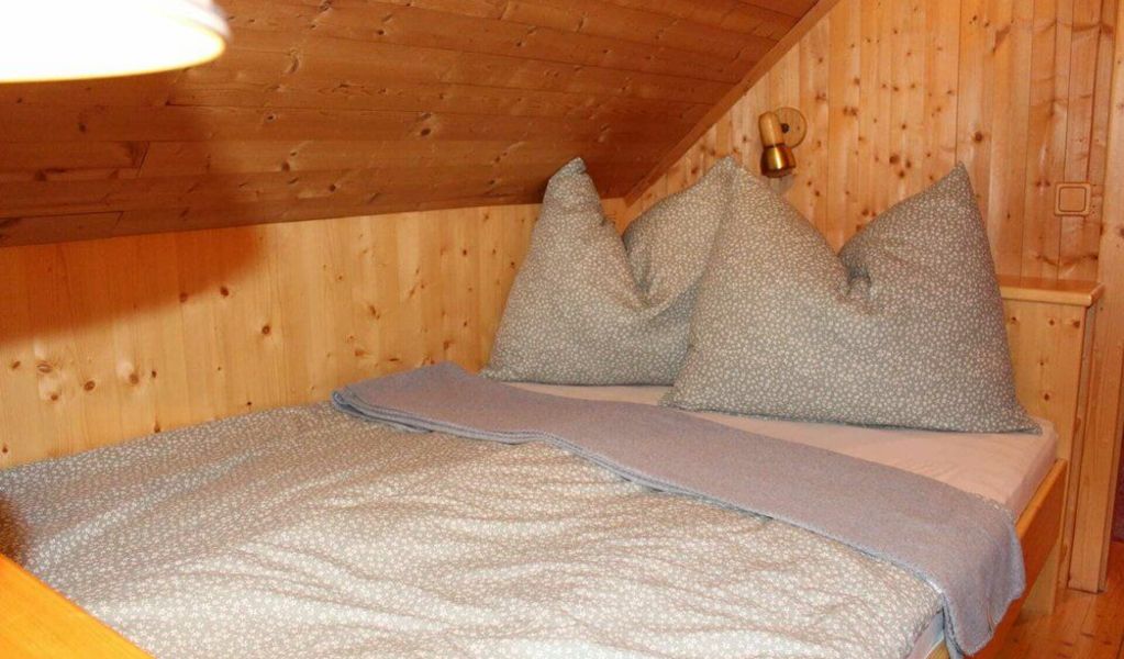 Triebentalblick Hütte - Hohentauern - Murtal