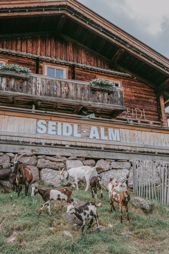 Seidlalm am Hahnenkamm - Kitzbühel - Kitzbühel