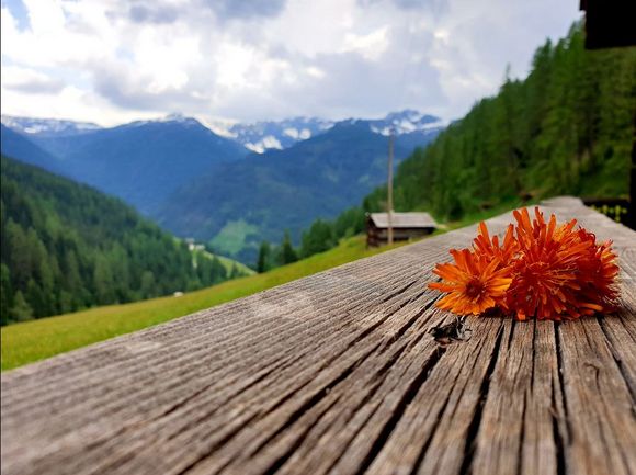 Almhütte Thaletalm - Innervillgraten - Osttirol
