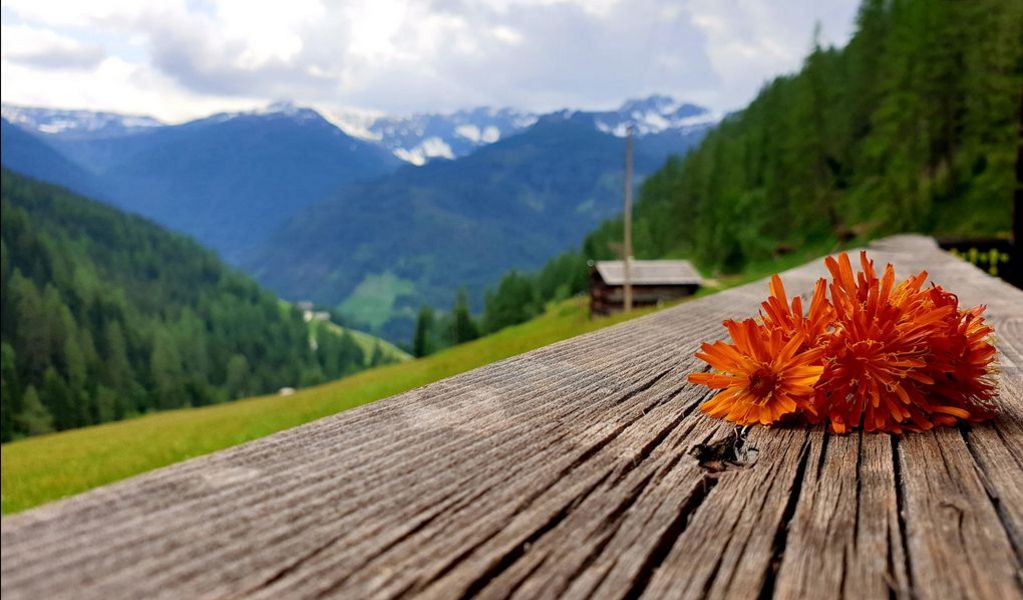 Almhütte Thaletalm - Innervillgraten - Osttirol