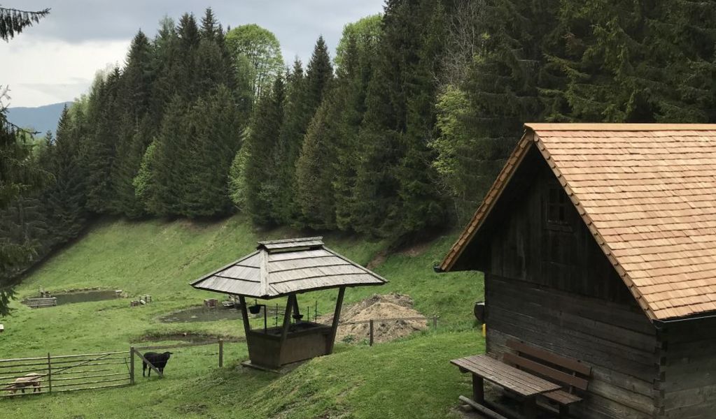 Bärnthaler Fischerhütte - Mühlen - Urlaubsregion Murau-Murtal