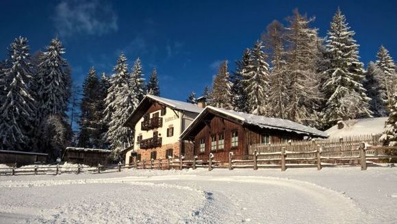 Leadner Alm - Vöran - Meran und Umgebung