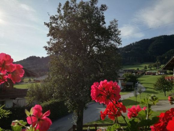 Ferienhaus Weberhof - Reith im Alpbachtal - Alpbachtal