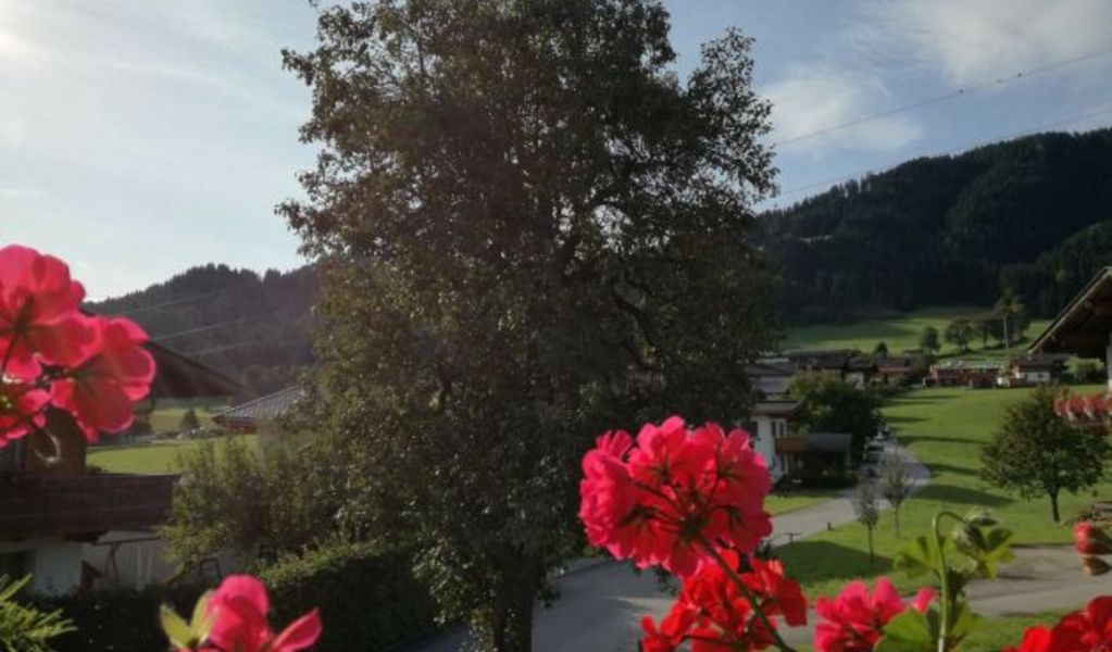 Ferienhaus Weberhof - Reith im Alpbachtal - Alpbachtal