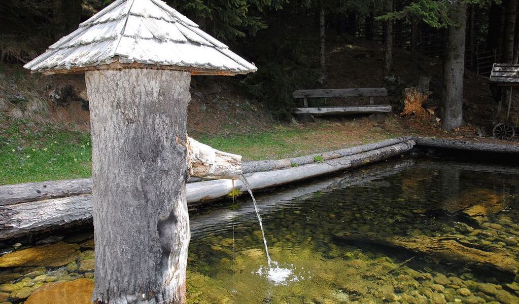 Almhütte Weber - Wolfsberg - Klopeiner See - Südkärnten - Lavanttal