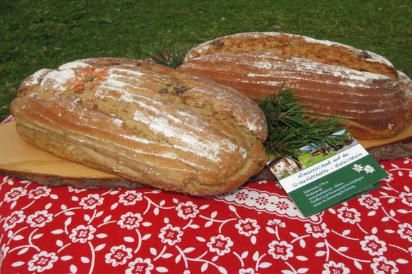 Scharfetthütte - Flachau - Salzburger Sportwelt