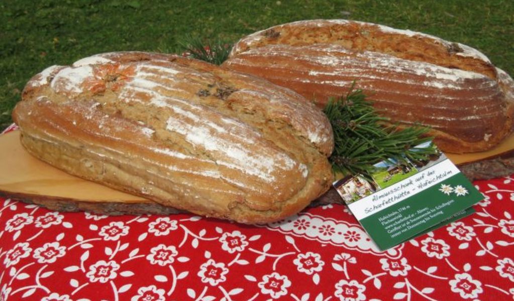 Scharfetthütte - Flachau - Salzburger Sportwelt