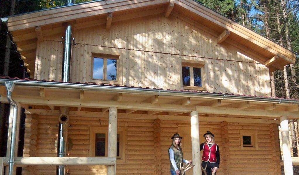 Hüttenurlaub im Hirschalmdorf - Unterweißenbach - Mühlviertler Alm