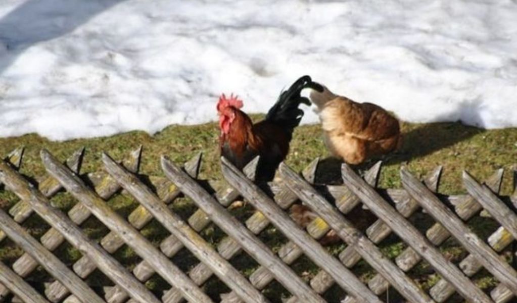 Vorderebenhof - St. Johann im Pongau - Salzburger Sportwelt