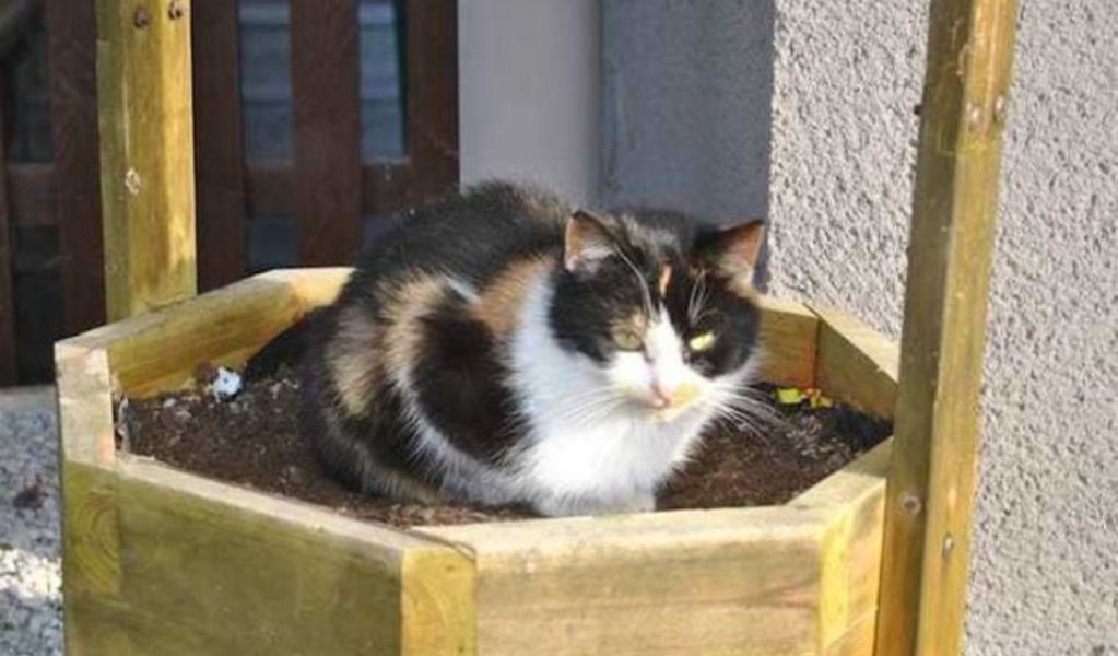 Vorderebenhof - St. Johann im Pongau - Salzburger Sportwelt