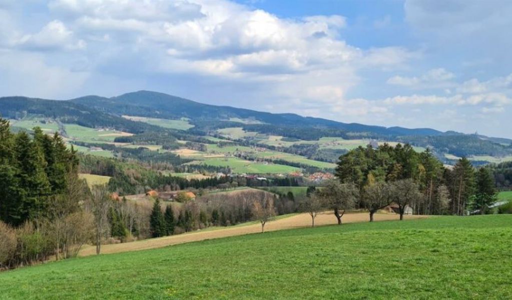 Ferienhaus Familie Steiner - Pöllau bei Hartberg - Oststeiermark