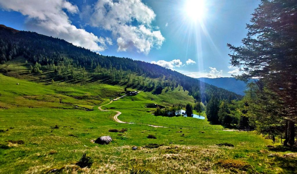 Lamprechtalm Hütte - Eisentratten - Nockberge