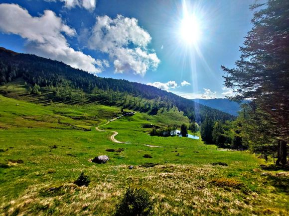 Lamprechtalm Hütte - Eisentratten - Nockberge