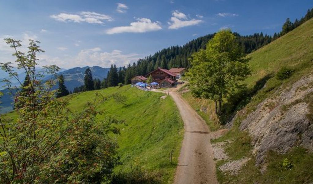 Alpe Oberberg - Gunzesried - Allgäu
