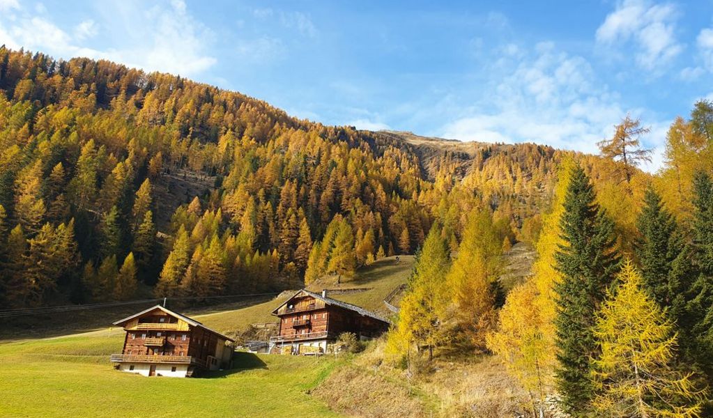 Almhütte Thaletalm - Innervillgraten - Osttirol
