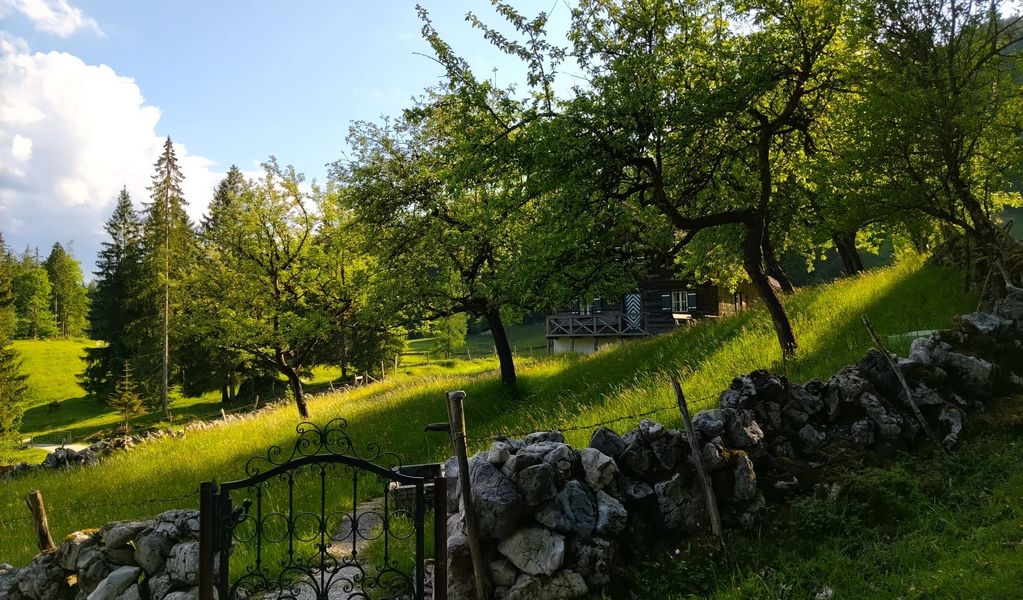 Lippenbauernalm - St. Wolfgang - Salzkammergut