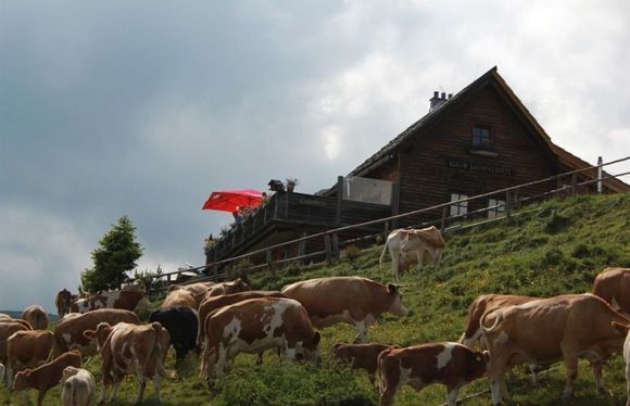 Klein Lachtalhütte - Schönberg-Lachtal - Urlaubsregion Murau-Murtal