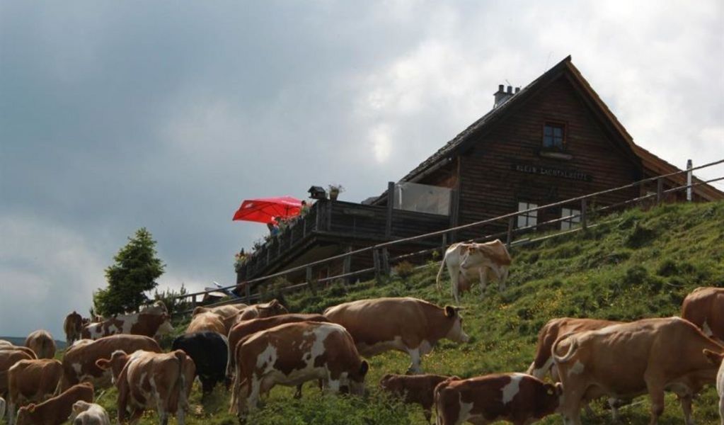 Klein Lachtalhütte - Schönberg-Lachtal - Urlaubsregion Murau-Murtal