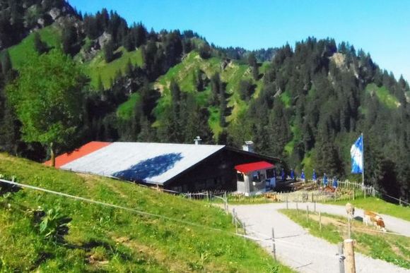 Oberlauchalpe - Oberstaufen - Allgäu