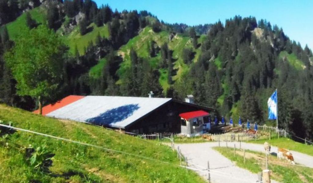 Oberlauchalpe - Oberstaufen - Allgäu