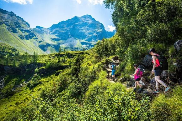 Schmiedalm - Haus im Ennstal - Schladming-Dachstein