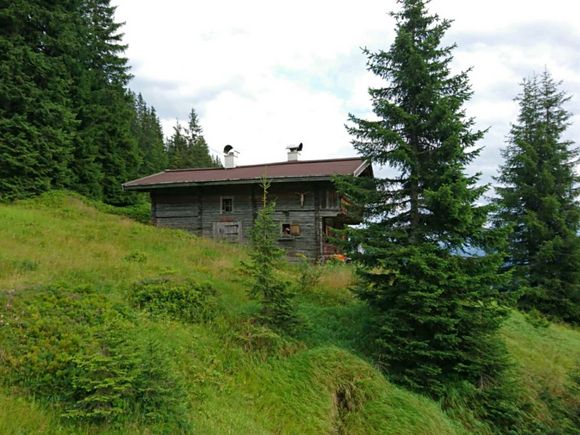 Poltenalm - Saalbach - Saalbach Hinterglemm