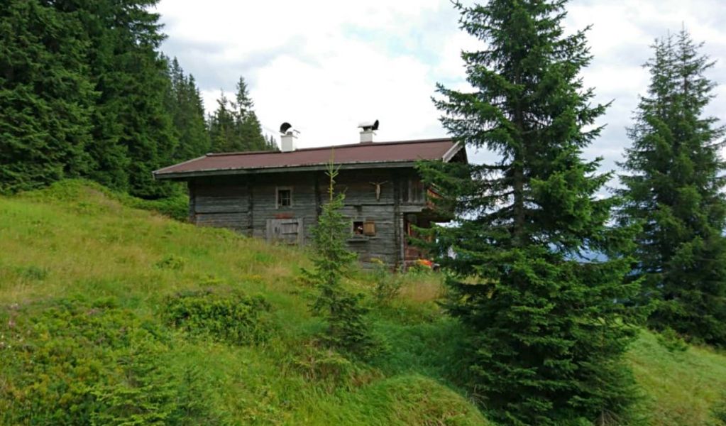 Poltenalm - Saalbach - Saalbach Hinterglemm
