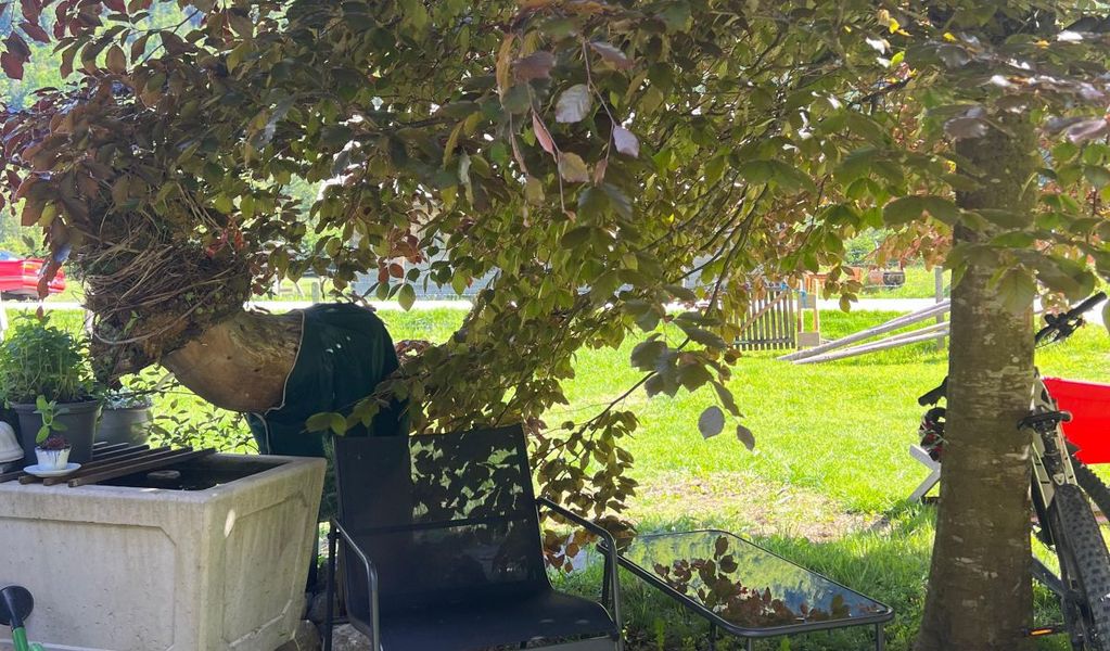 Lippenbauernhütte - Bad Ischl - Salzkammergut