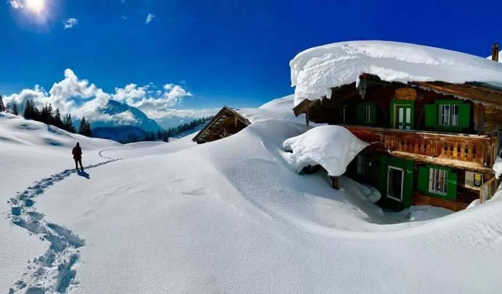 zur LINÄ - Stöfflhütte Walleralm - Scheffau - Wilder Kaiser