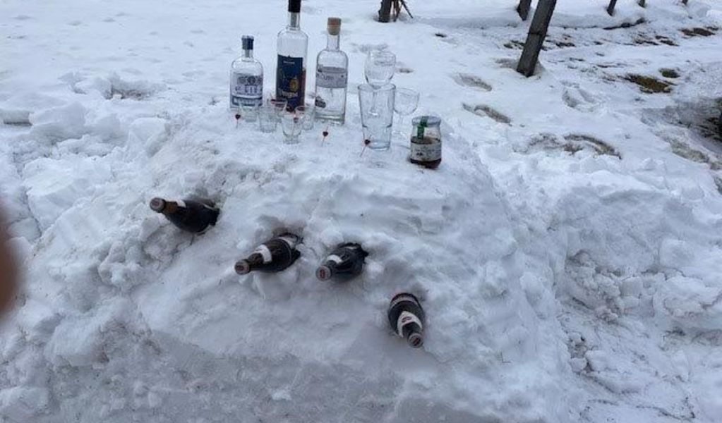 Almvilla Hochrindl - Albeck - Nockberge