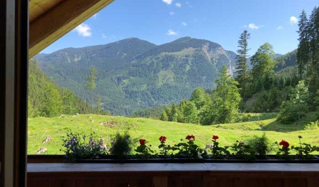 Brielalm - Gosau - Dachstein Salzkammergut