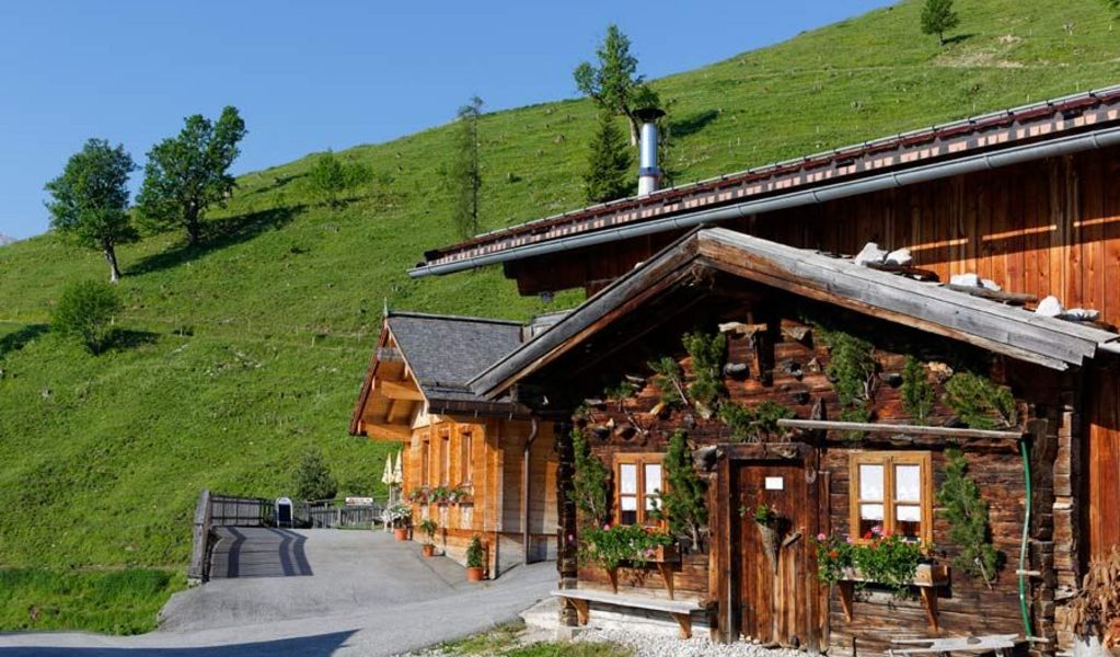 Jausenstation Feil-Alm - Achensee - Achensee