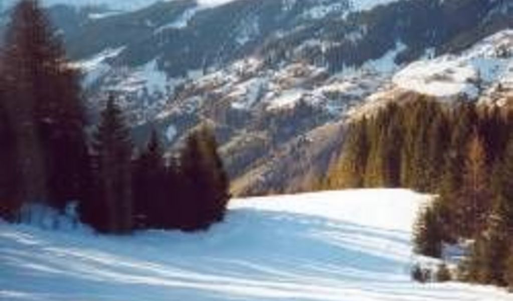 Felsenfesthütte - See - Paznaun - Ischgl